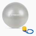 TREXO Gymball TXO-B4Z009-GY 75 cm szürke 5