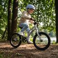 ATTABO EASE 16" B gyermek kerékpár, ezüst 5
