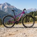 Női mountain bike ATTABO ALPE 3.0 17" 17" lila 3