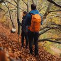 Túrahátizsák Alpinus Teno 24 l orange 5