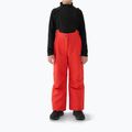 Gyerek sínadrág 4F Fnk M0949 red