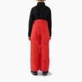 Gyerek sínadrág 4F Fnk M0949 red 2