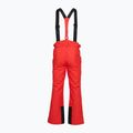 Férfi sínadrágok 4F Fnk M1155 red 2