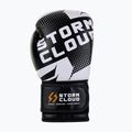 Boxkesztyű StormCloud Bolt 3.0 black/white 4