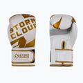 Boxkesztyű StormCloud Bolt 3.0 white/gold