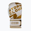 Boxkesztyű StormCloud Bolt 3.0 white/gold 4