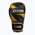 Bokszkesztyűk StormCloud Lynx 2.0 black/gold 4