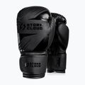 Bokszkesztyűk StormCloud Lynx 2.0 black/black 2