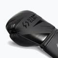Bokszkesztyűk StormCloud Lynx 2.0 black/black 6