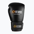 Bokszkesztyűk StormCloud Muay Thai Blizzard 2.0 black/white 2