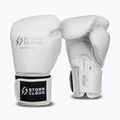 Bokszkesztyűk StormCloud Muay Thai Blizzard 2.0 white/silver