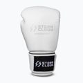 Bokszkesztyűk StormCloud Muay Thai Blizzard 2.0 white/silver 2