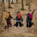 Túrahátizsák Alpinus Tarfala 35 l mustard 4
