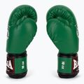 Boxkesztyű RAJA BOXING Single Semi Leather green 4