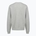 Férfi pulóver PROSTO Old Logo Crewneck gray 2