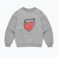 Férfi pulóver PROSTO Big Shield Crewneck gray