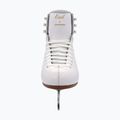 Női műkorcsolya Jackson Excel Mark II Blade white 6