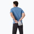 Férfi póló Arcteryx Arc'Word Logo stone wash 2