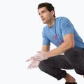 Férfi póló Arcteryx Arc'Word Logo stone wash 4