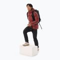 Férfi Arc'teryx Cerium Hoody sequoia/solaris pehelypaplan dzseki 2