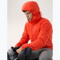 Férfi Arcteryx Atom Hoody szigetelt kabát solaris 6