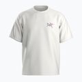Férfi Arc'teryx Kragg Cotton Logo fehér light / soul póló