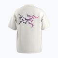 Férfi Arc'teryx Kragg Cotton Logo fehér light / soul póló 2