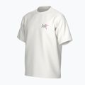 Férfi Arc'teryx Kragg Cotton Logo fehér light / soul póló 3