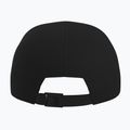 Baseballsapka Arcteryx Bird Wood 24k black 2