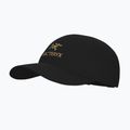 Baseballsapka Arc'Teryx Bird Wood 24k black 3