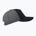 Arcteryx Bird Word Trucker baseball sapka fekete /felhő 4