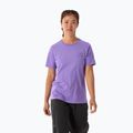 Női póló Arc'teryx Kragg Sl Cotton Emblem Crew aszter