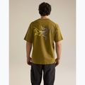 Férfi póló Arcteryx Kragg Cotton Logo SS bracken 3