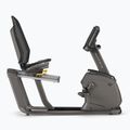 álló kerékpárMatrix Fitness Recumbent Bike R50XIR-02 graphite grey