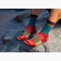 Férfi trekking zokni Darn Tough Heady Stripe teal 2