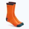 Férfi trekking zokni Darn Tough Hiker Micro Crew blaze