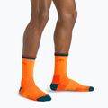 Férfi trekking zokni Darn Tough Hiker Micro Crew blaze 5