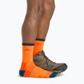 Férfi trekking zokni Darn Tough Hiker Micro Crew blaze 6