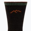 Férfi zokni Darn Tough Hiker Micro Crew walnut 3