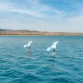 Aztron Soar 4.0 Air Wingfoil szárny a Wingfoilhoz 5