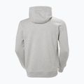 Férfi pulóver  Helly Hansen HH Logo Hoodie grey/melange 2