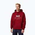 Férfi Helly Hansen Arctic Ocean kapucnis pulóver bordó 30361_215