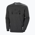 Férfi Helly Hansen Arctic Ocean pulóver szürke 30364_980 4