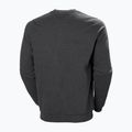 Férfi Helly Hansen Arctic Ocean pulóver szürke 30364_980 5