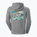 Helly Hansen F2F Organic Cotton 855 szürke férfi túradzseki 62934 2