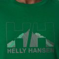 Férfi trekking póló Helly Hansen Nord Graphic 486 zöld 62978 3