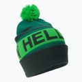 Helly Hansen Ridgeline sapka zöld 67150_495