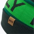 Helly Hansen Ridgeline sapka zöld 67150_495 3