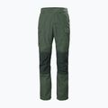 Helly Hansen férfi trekking nadrág Vandre Tur zöld 62698_476 6