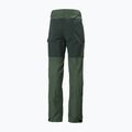 Helly Hansen férfi trekking nadrág Vandre Tur zöld 62698_476 7